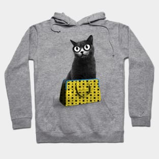 The cat in the bag of tricks Hoodie